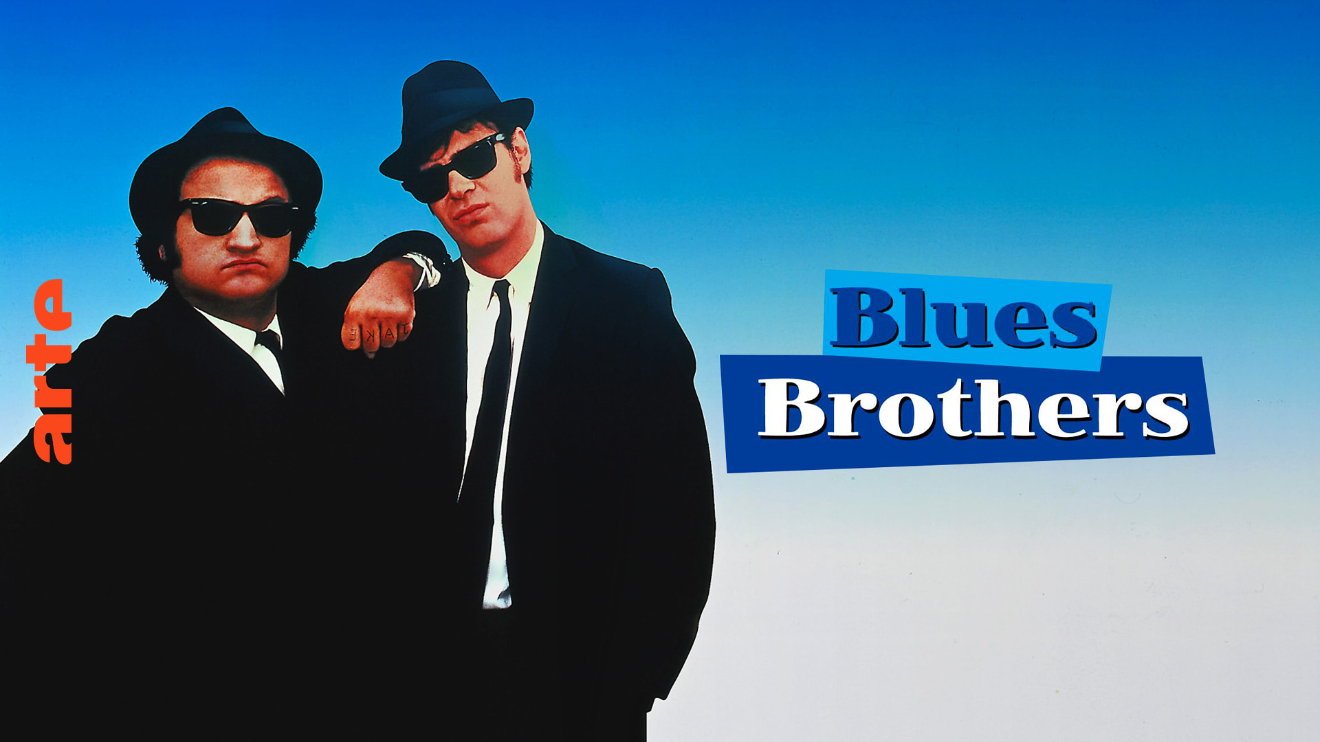 Blues Brothers Film In Voller Lange Arte