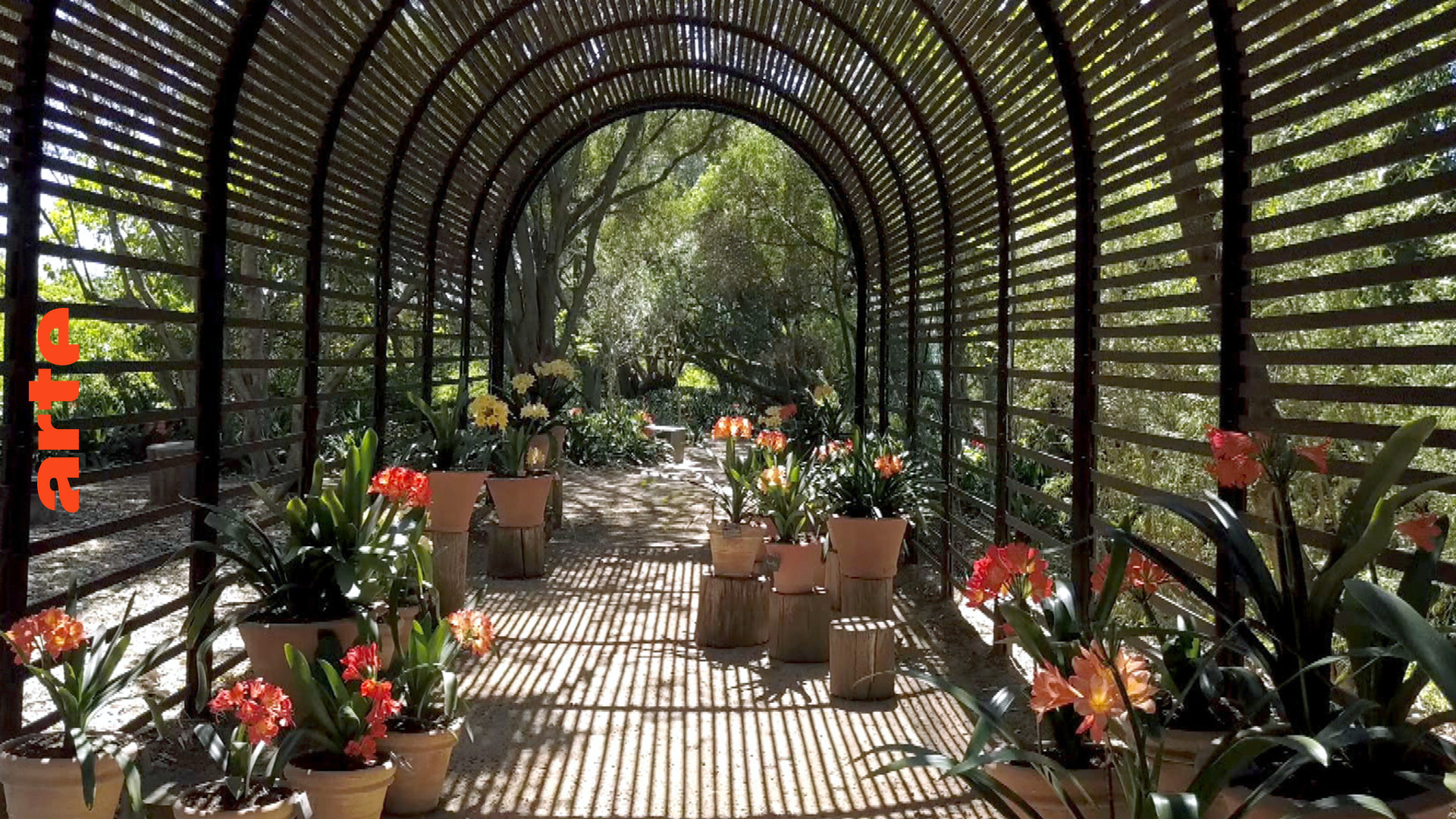 Magische Gärten Babylonstoren Die ganze Doku ARTE