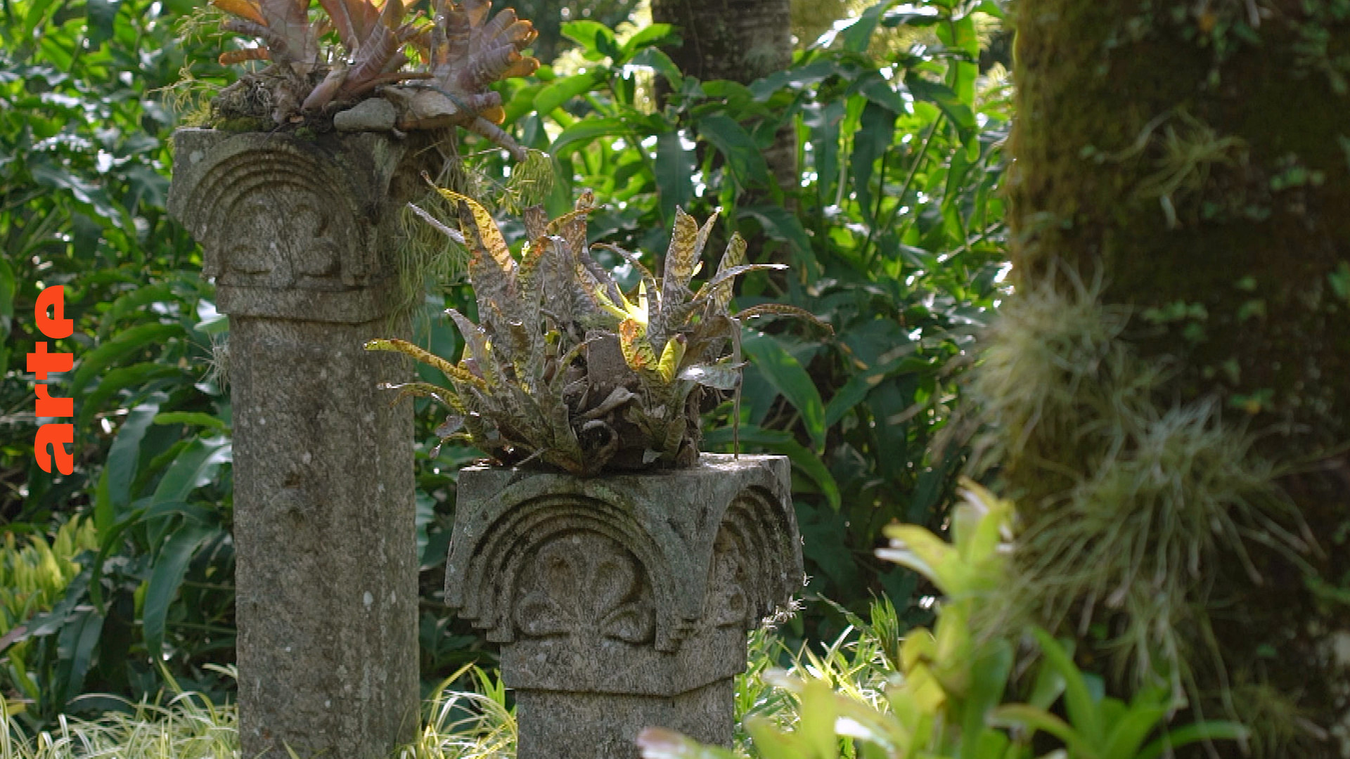 Magische Gärten BurleMarxGarten Die ganze Doku ARTE