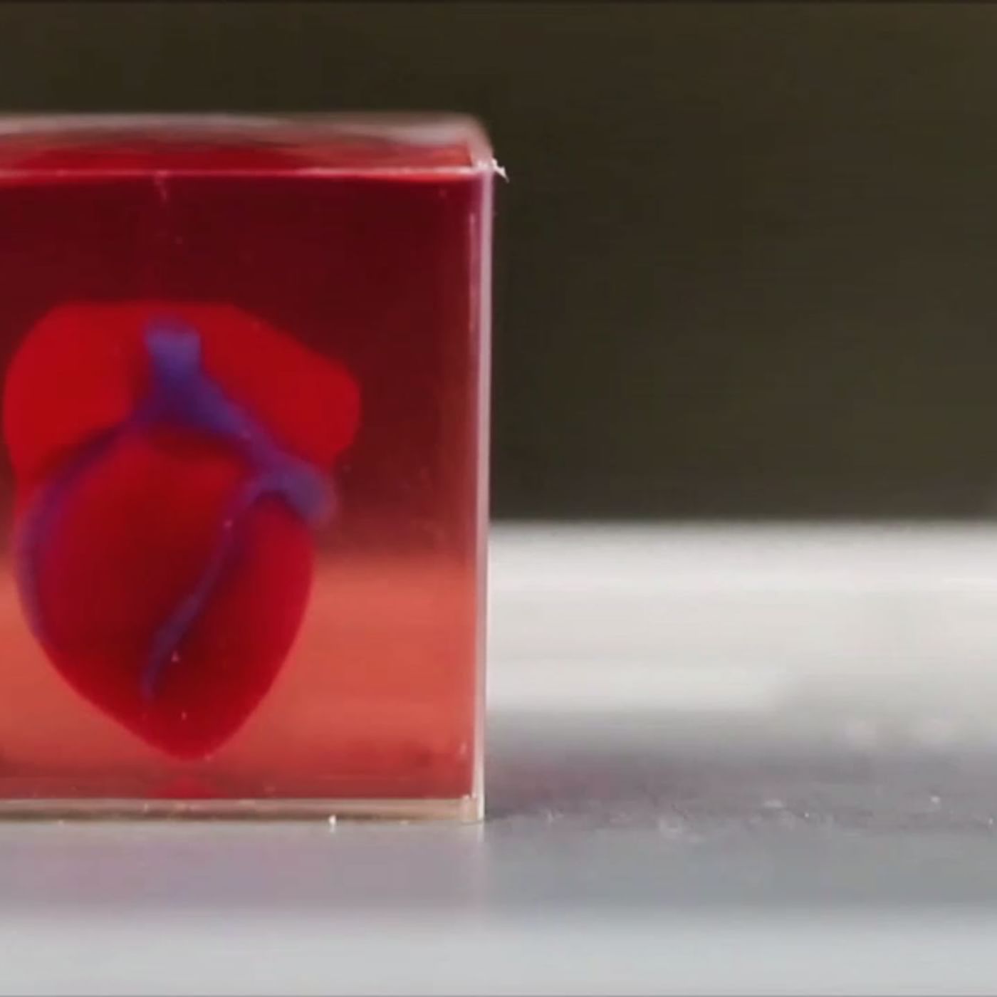 Ein Menschliches Herz Aus Dem 3d Drucker Arte