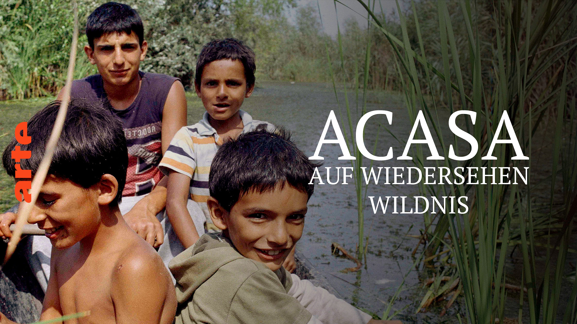 acasa mein zuhause