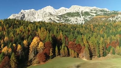Fragestunde: Der Herbst Fragestunde: Der Herbst