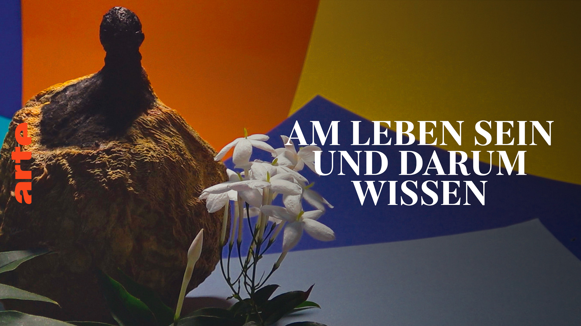 am leben sein und darum wissen film in voller lange arte
