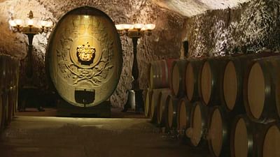 Kuba Susse Rache Stadt Land Kunst Die Ganze Doku Arte