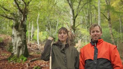 The Forest Rescuers