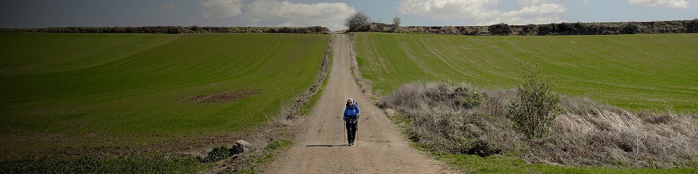 The Way of St James
