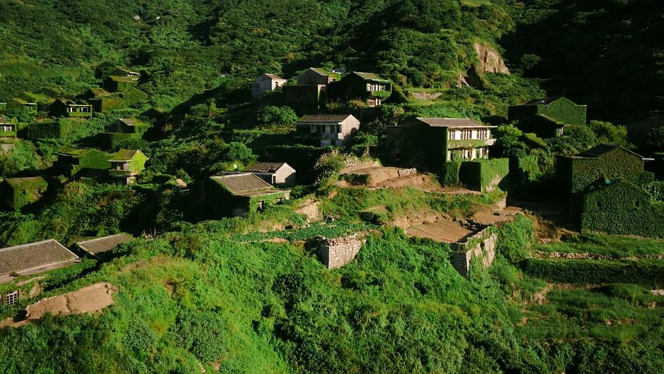 Vert, comme les rizières et les plantations de théiers