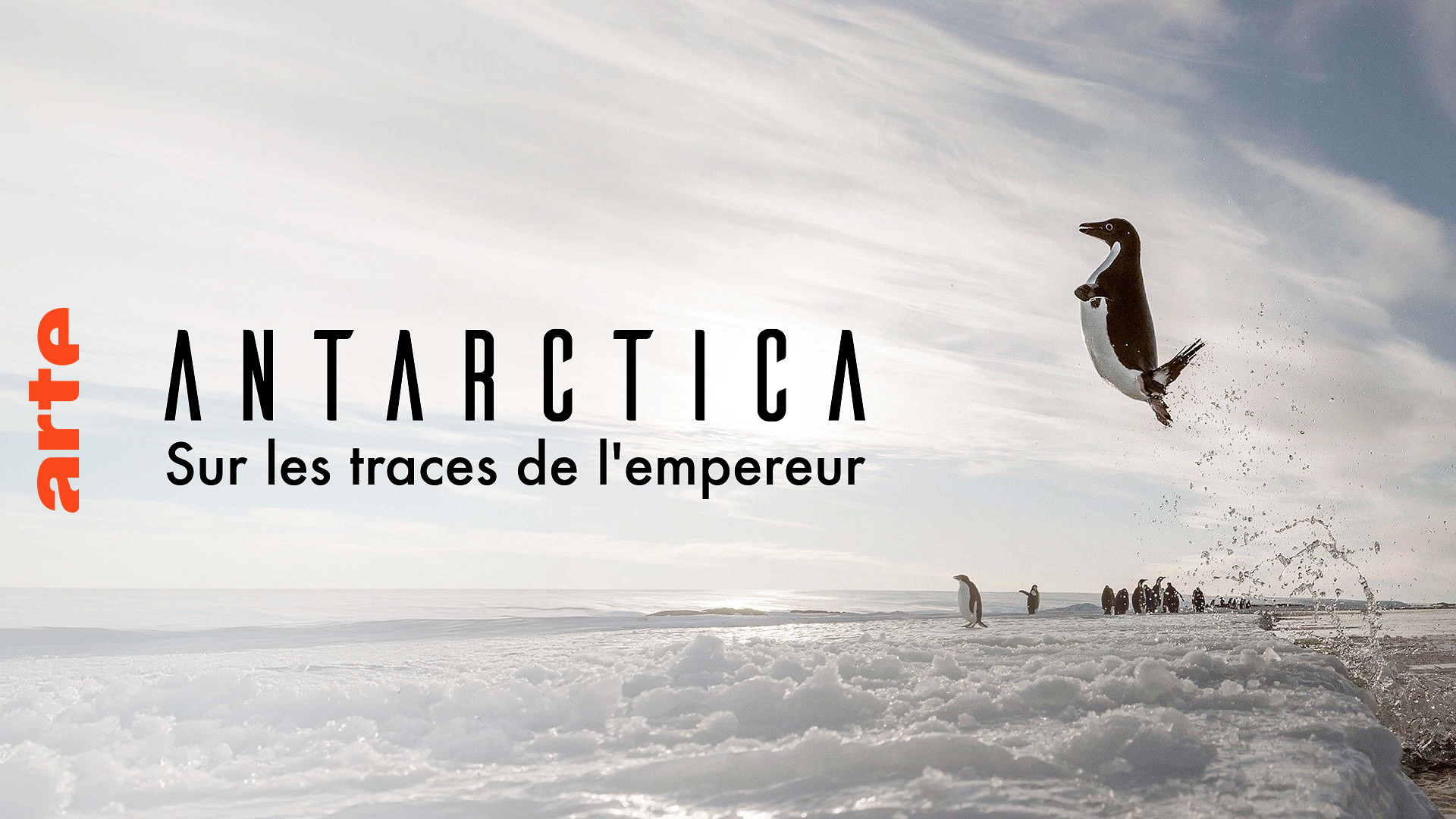 Antarctica Sur Les Traces De L Empereur Antarctica, sur les traces de l'empereur - Regarder le documentaire