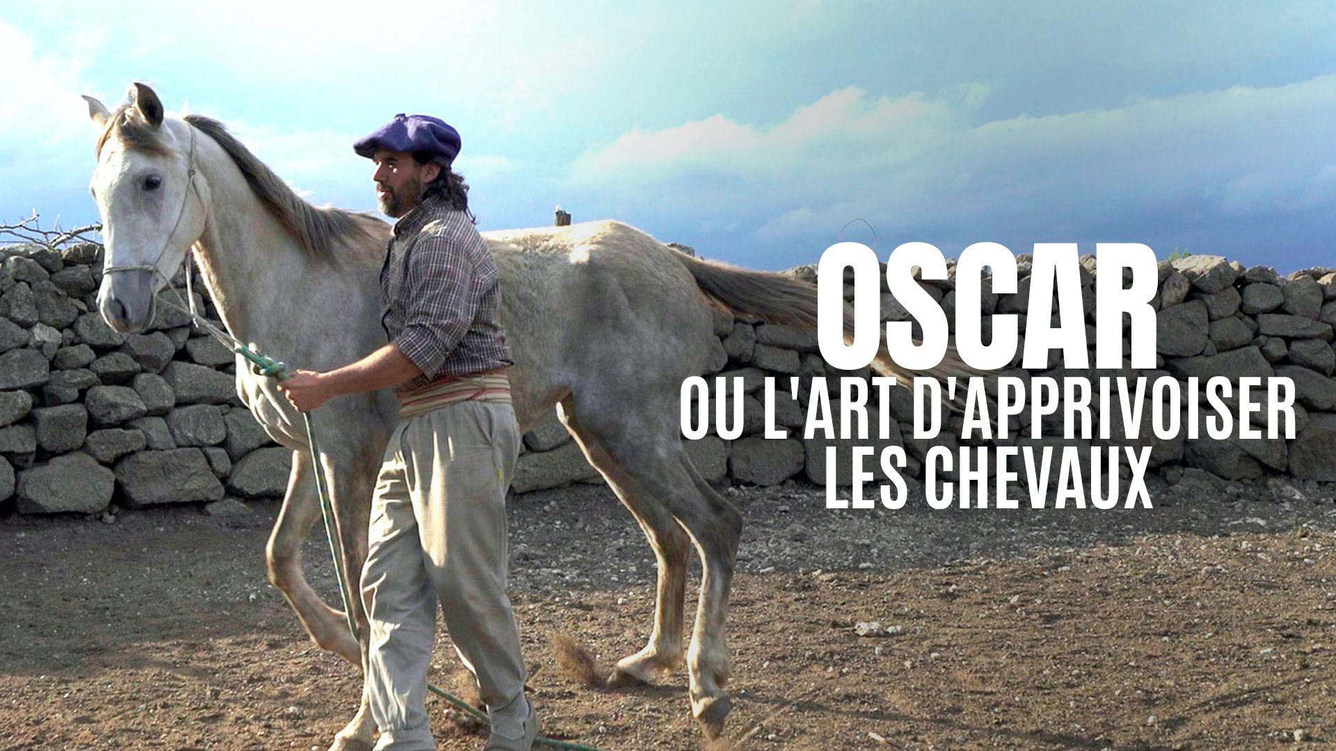 Geo Reportage Oscar Ou L Art D Apprivoiser Les Chevaux Regarder Le Documentaire Complet Arte