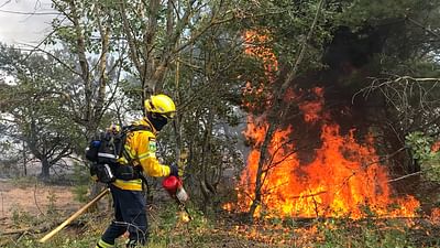 ARTE Regards - Feux de forêts en Allemagne ARTE Regards - Feux de forêts en Allemagne