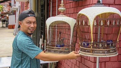 GEO Reportage - Singapour, quand les oiseaux chantent GEO Reportage - Singapour, quand les oiseaux chantent