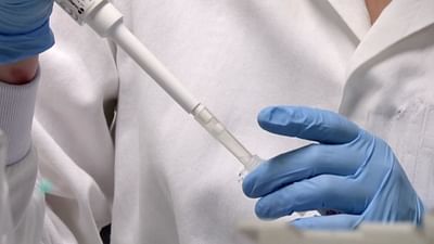 A quand le vaccin contre le coronavirus ? A quand le vaccin contre le coronavirus ?