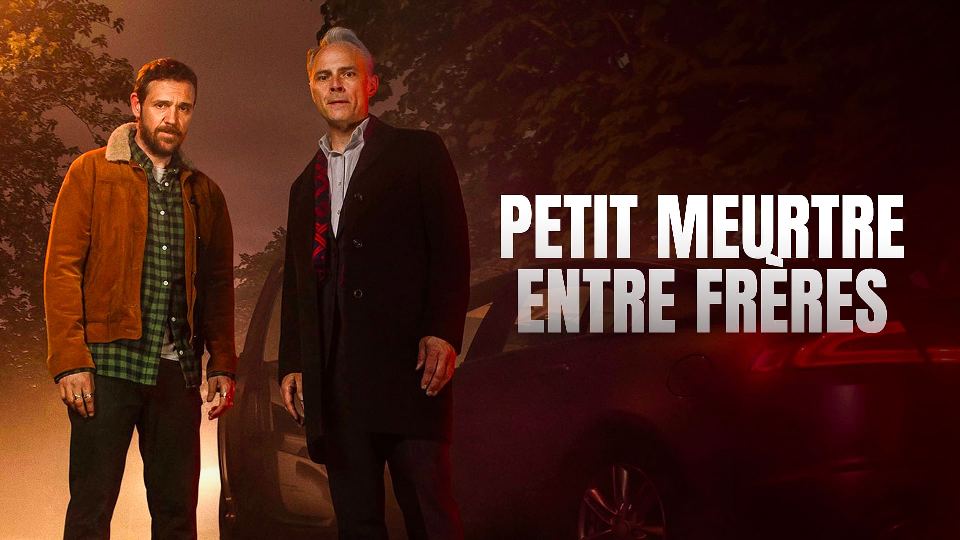 petit meurtre entre freres saison 1 1 4 regarder la serie arte