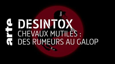 Chevaux mutilés : des rumeurs au galop Chevaux mutilés : des rumeurs au galop
