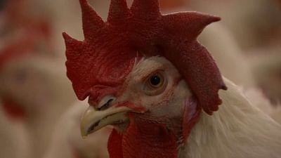 UE : une réforme de la PAC au menu UE : une réforme de la PAC au menu