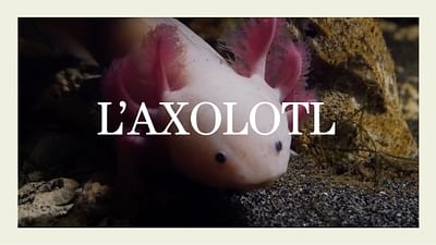 Est Ce Que C Est Bien De Parler Aux Bebes Comme S Ils Etaient Betes 28 Minutes 18 09 21 Regarder L Emission Complete Arte