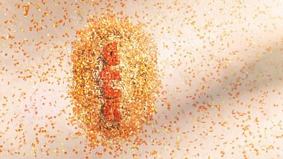 The Virtues of Pollen