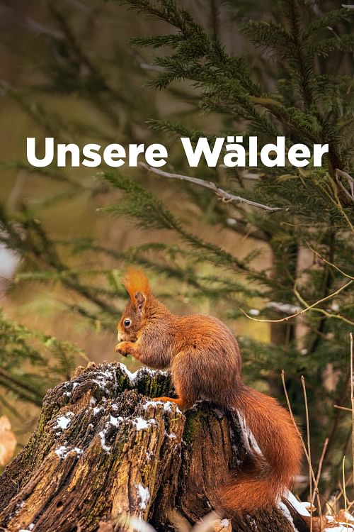 Unsere Wälder.