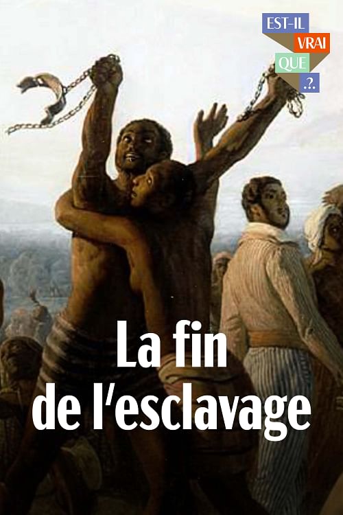 Est-il vrai que la morale a mis fin à l'esclavage ?.