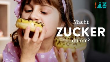 Macht Zucker dumm?