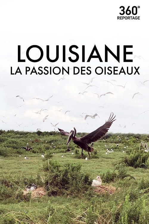 360° Reportage.