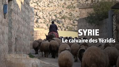 En Syrie, le calvaire des Yézidis n'est pas terminé.