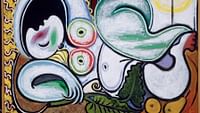 Picasso, l'inventaire d'une vie en streaming