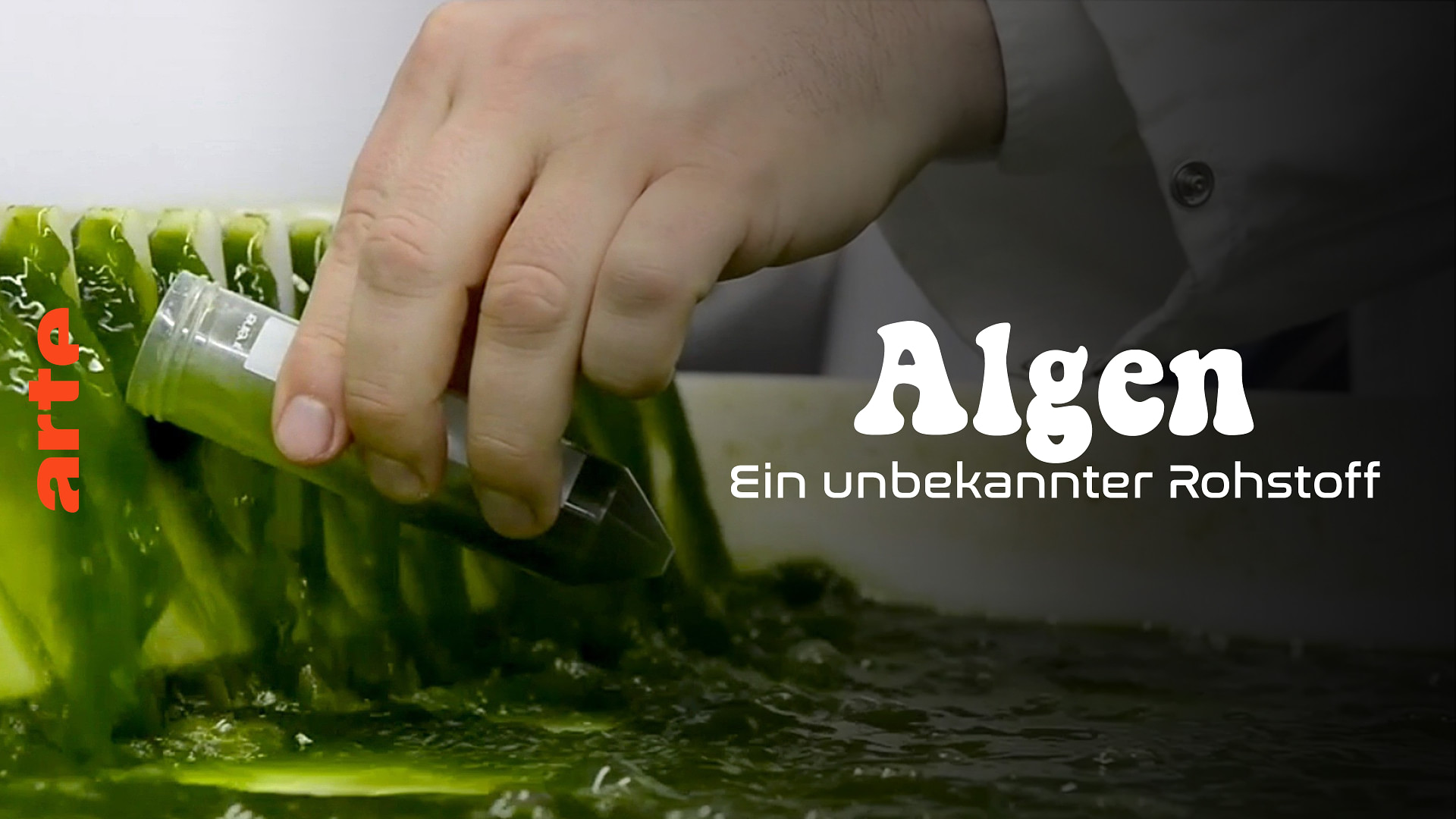 Algen - Ein unbekannter Rohstoff