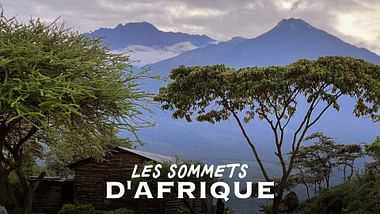 Les sommets d'Afrique