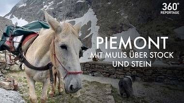 Piemont.