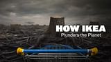 How Ikea Plunders the Planet