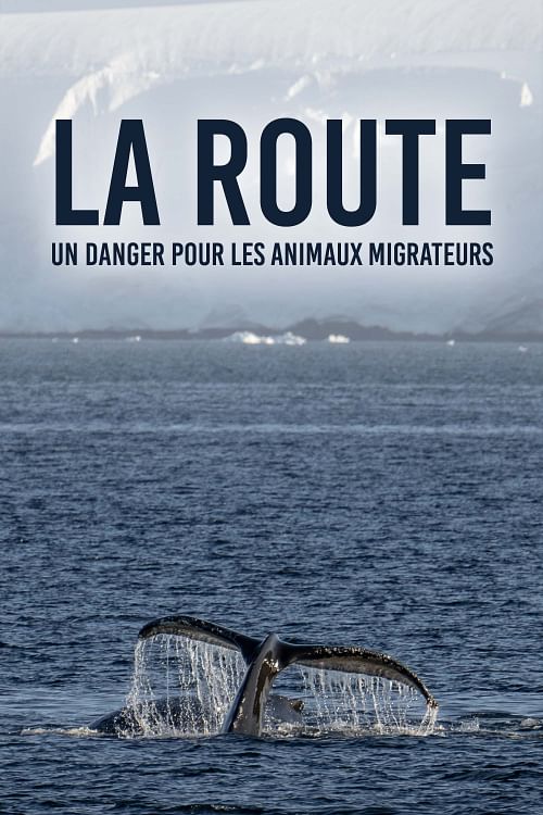 Pourquoi faut-il de toute urgence protéger les espèces migratrices ?.