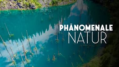 Phänomenale Natur.