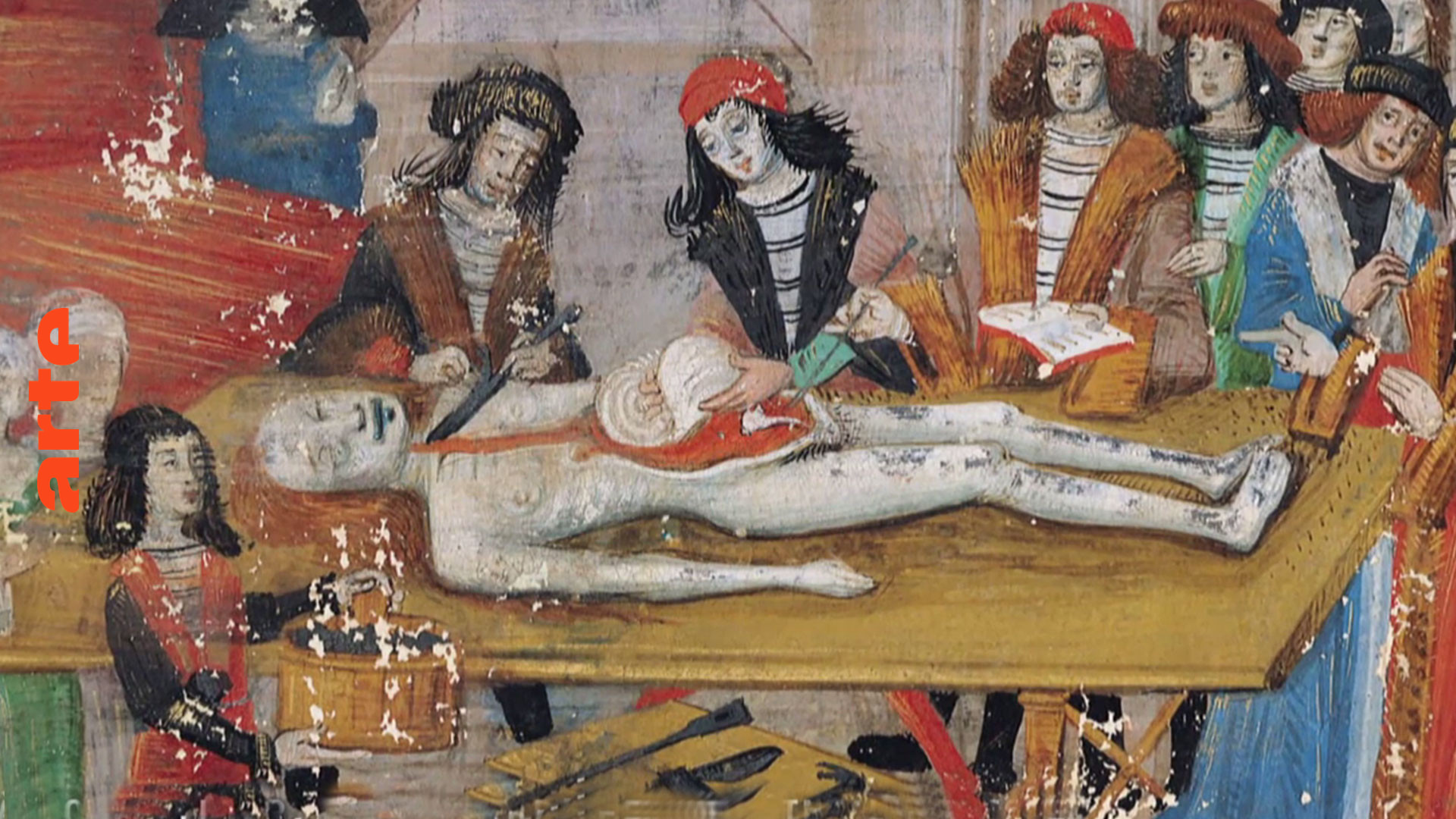 Montpellier: Anatomie der humanistischen Medizin