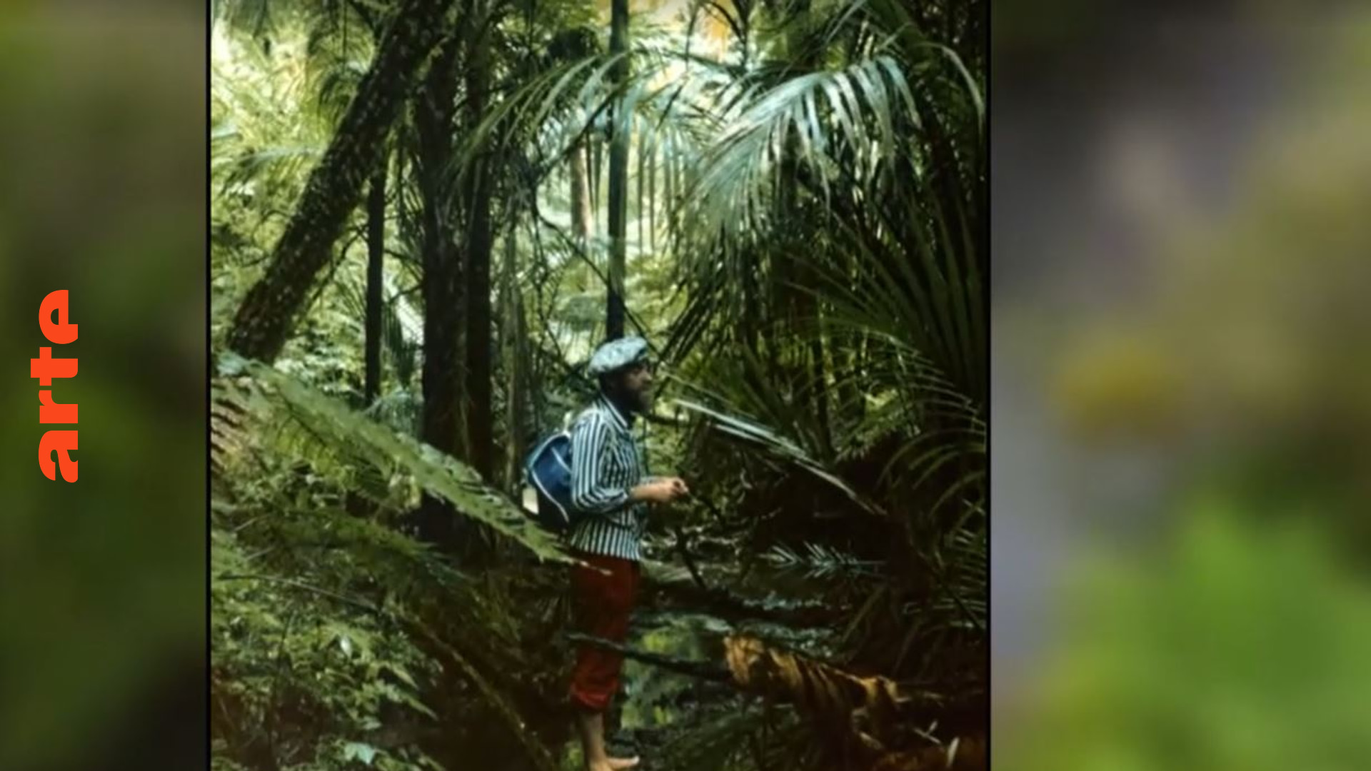Das fruchtbare Neuseeland des Malers Hundertwasser