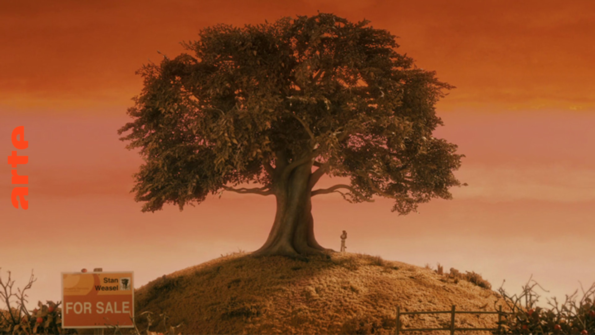 Der Baum im Film