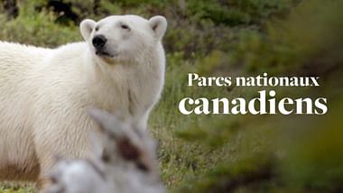 Les parcs nationaux canadiens