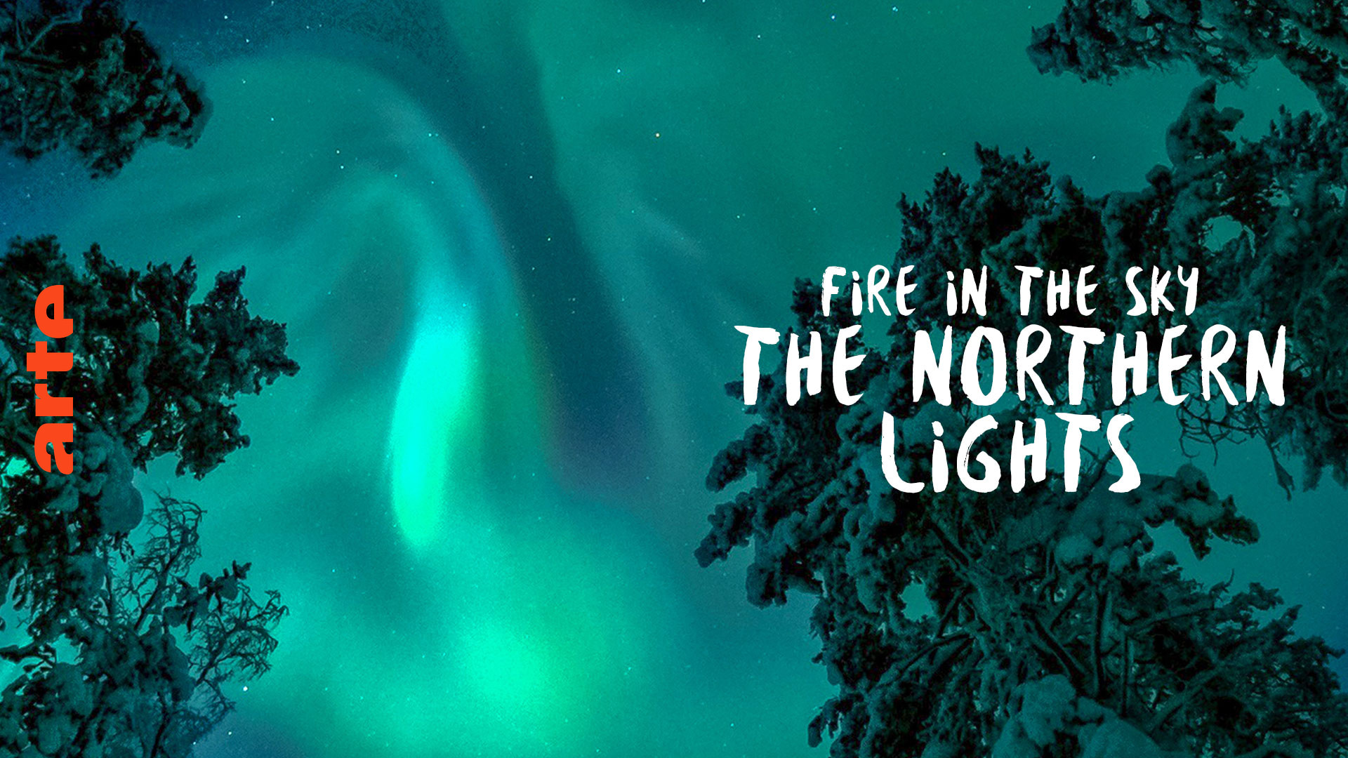 Fire in the Sky Watch the full documentary ARTE in English