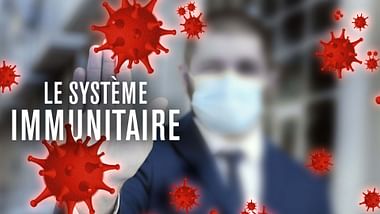 Le système immunitaire, un puissant gardien