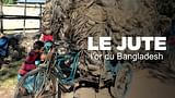 Les cultivateurs de jute au Bangladesh