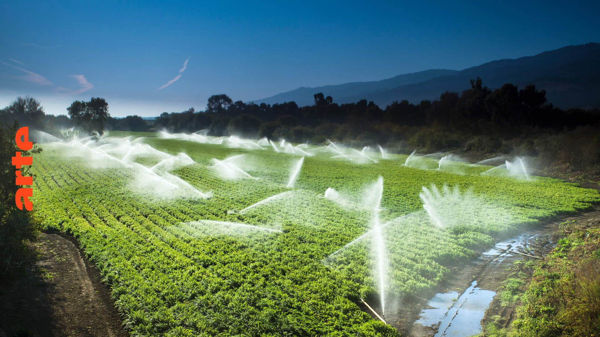 Что такое ирригация полива земель. Сельское хозяйство орошение. Сельскохозяйственное орошение. Оросительная гидромелиорация. Орошение картофеля дождеванием.