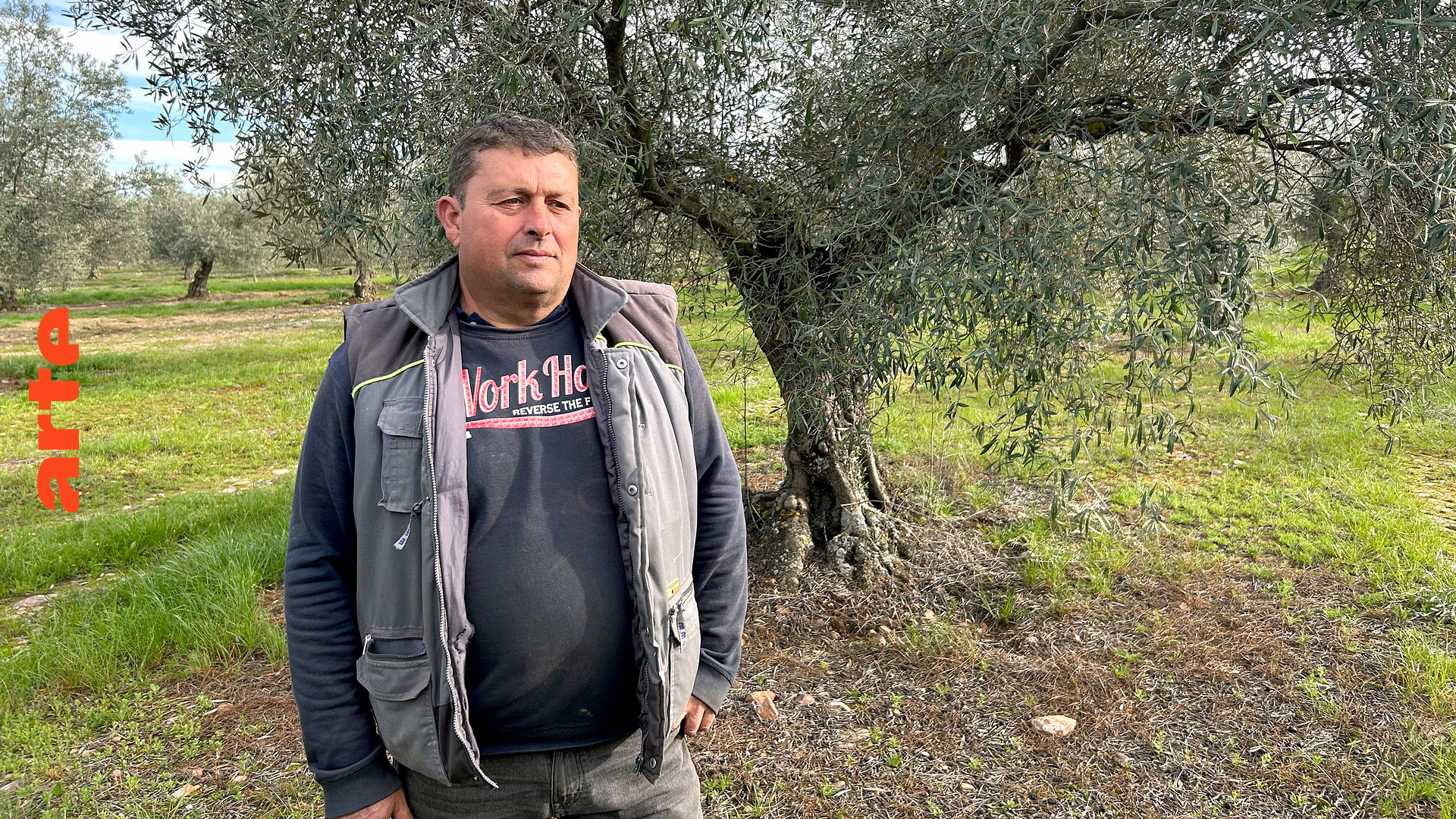 Re: Wut auf Spaniens Olivendiebe