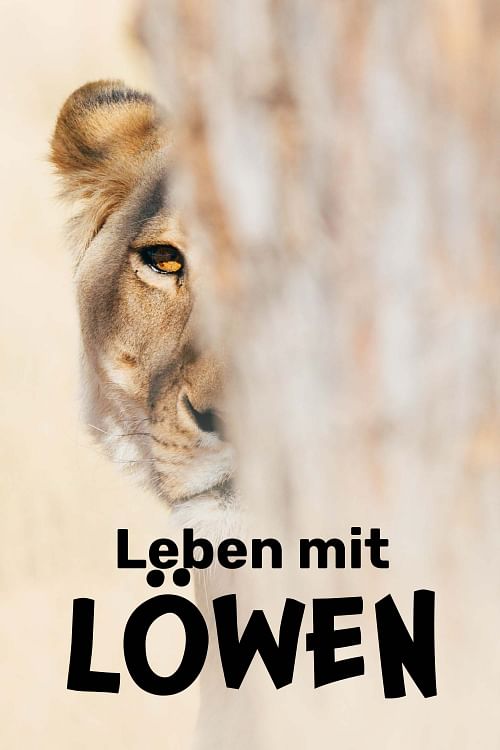 Leben mit Löwen.