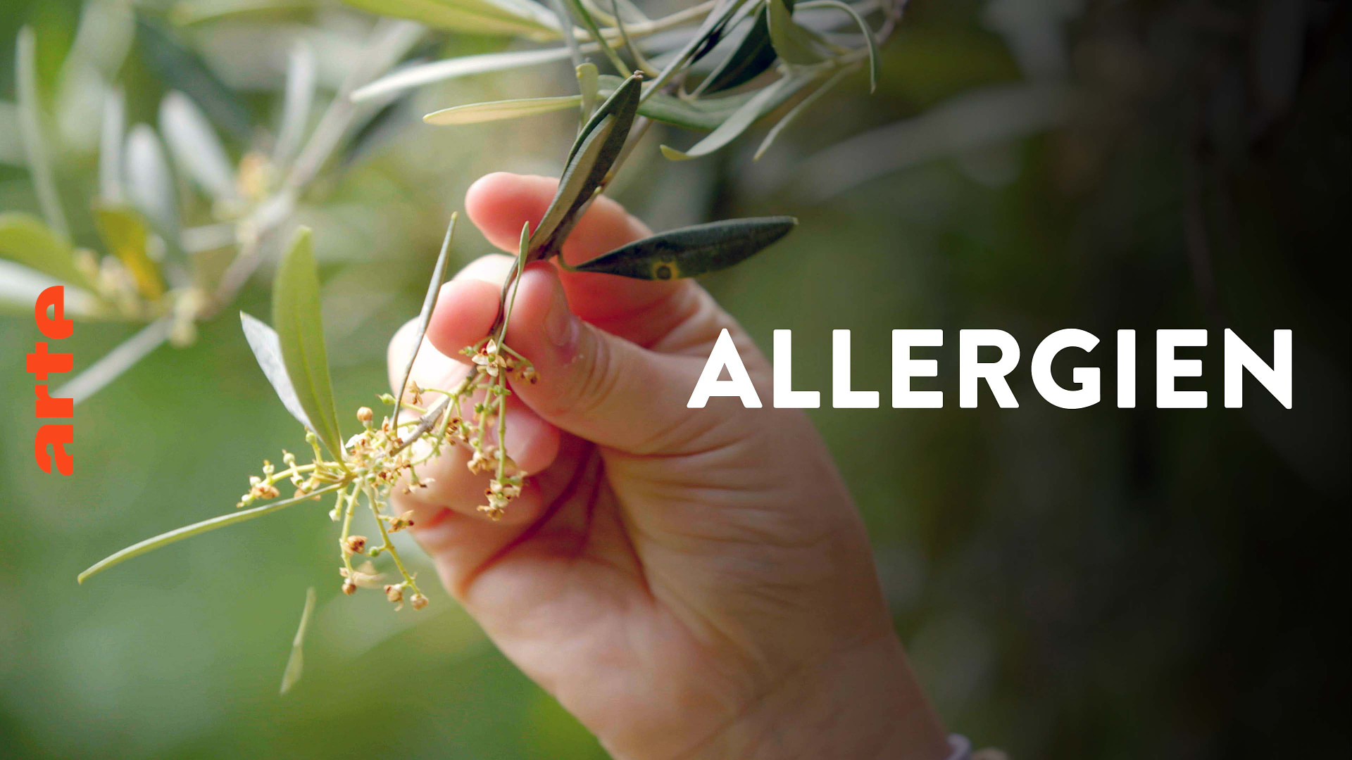Allergien - wenn der Körper rebelliert