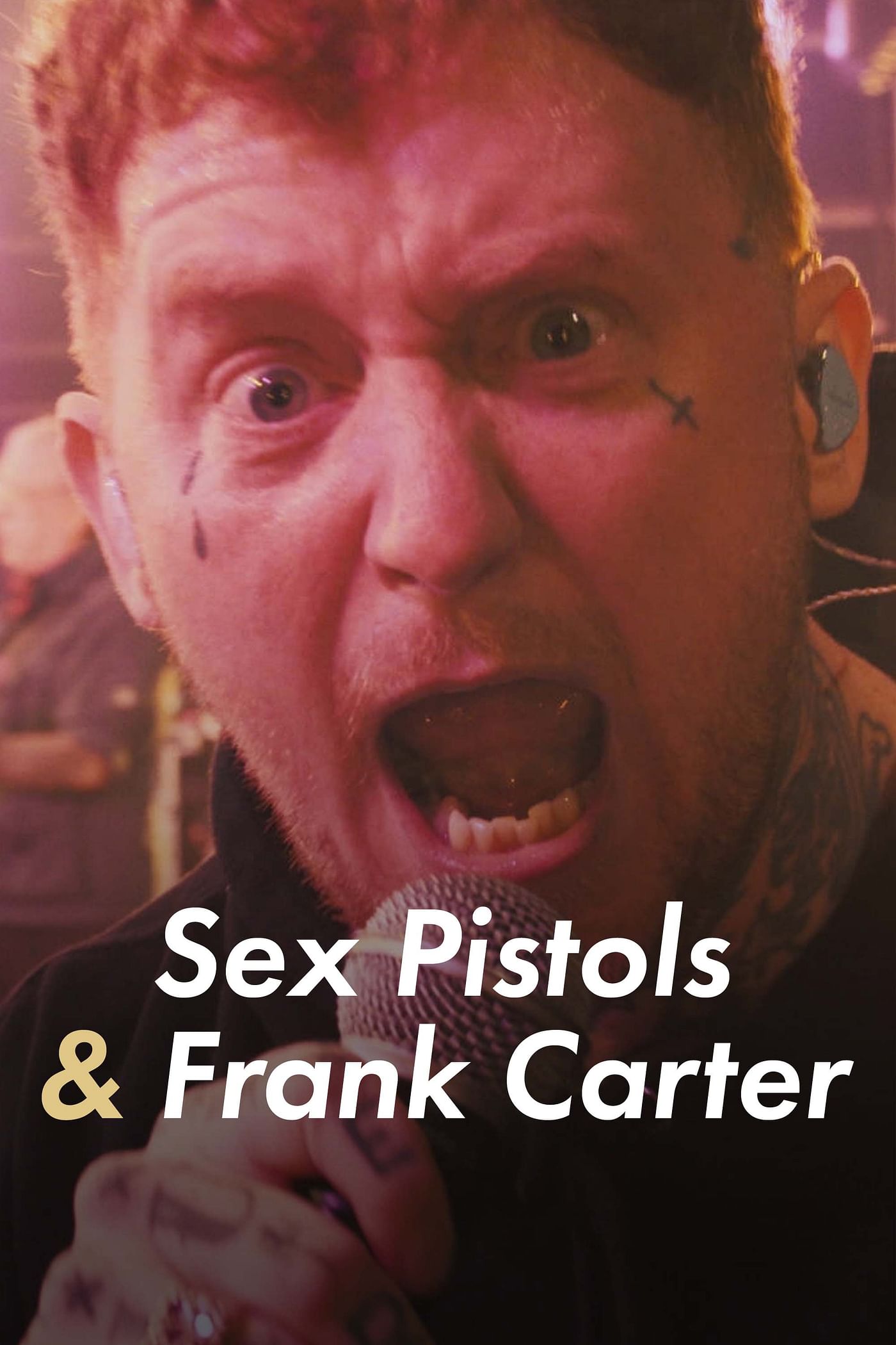 Sex Pistols & Frank Carter.