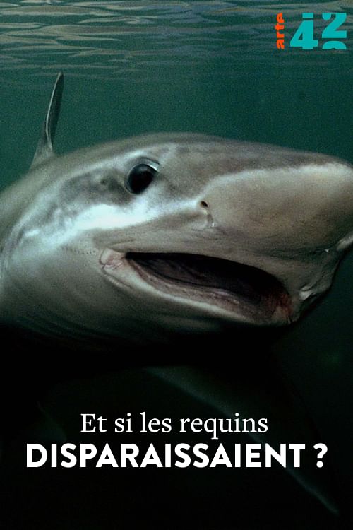 Et si les requins disparaissaient ?.
