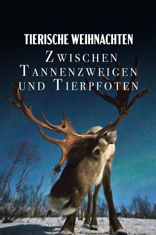 Tierische Weihnachten.