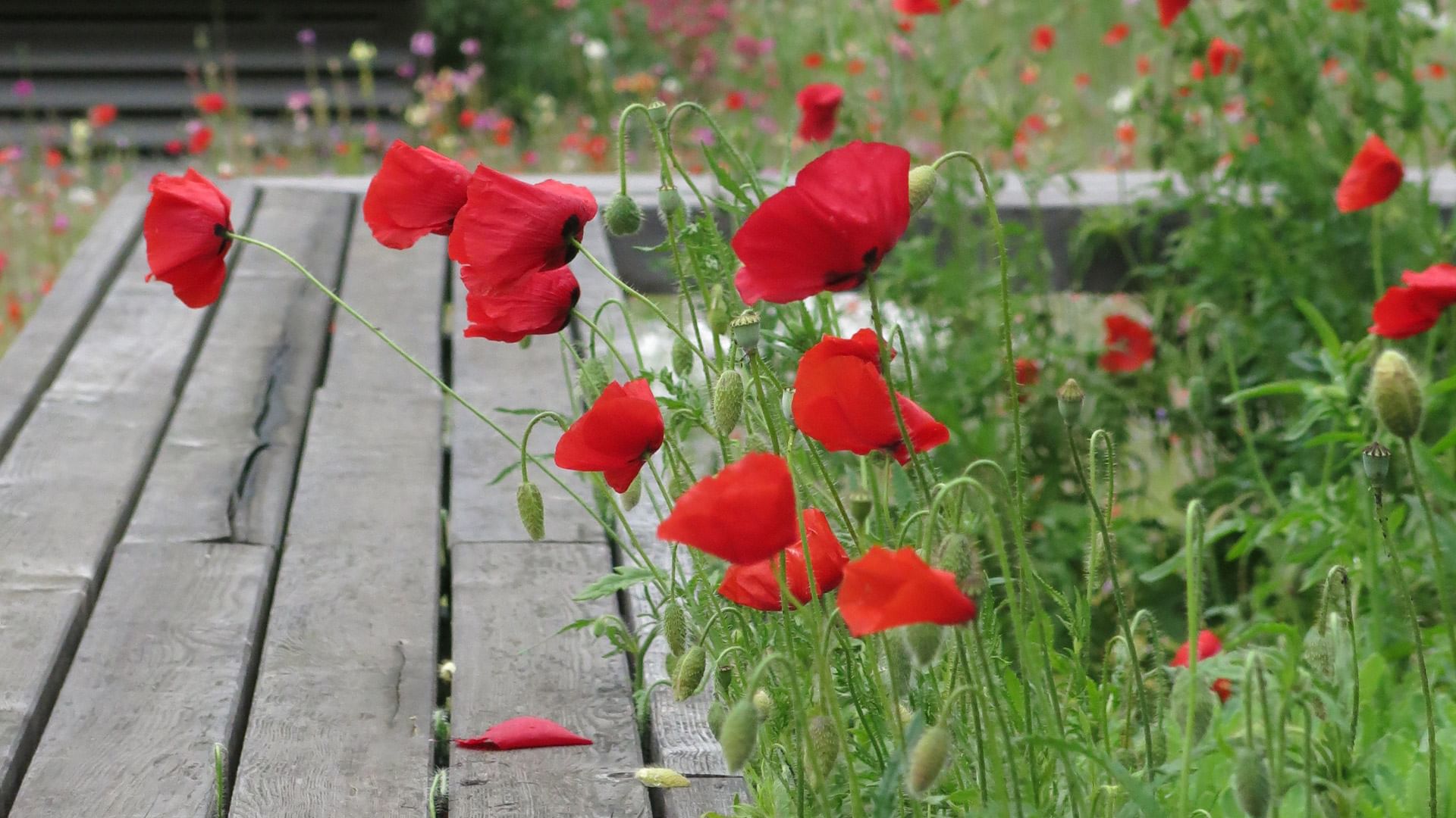 Gebäude, Mobilität, Gastronomie, Recycling  