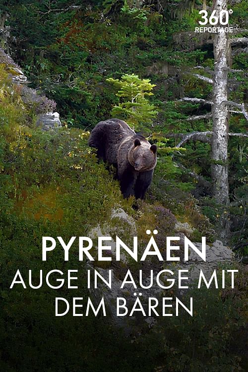 360° Reportage.