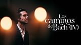 Los caminos de Bach